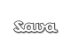 Sava